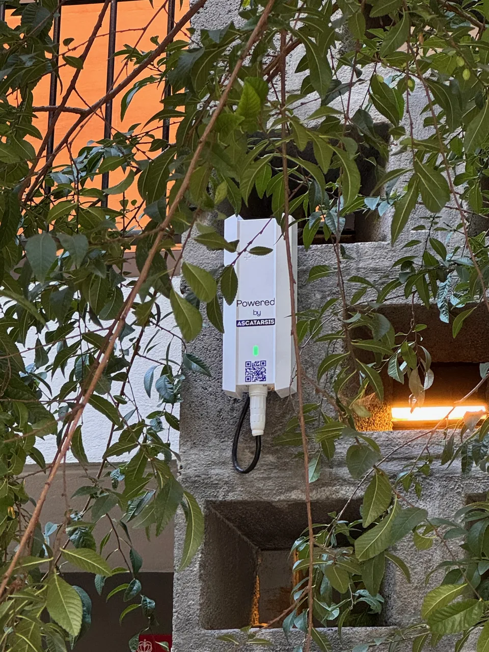 Access point de exterior instalado por Ascatarsis con branding 'Powered by Ascatarsis' y código QR, sobre muro de piedra al atardecer